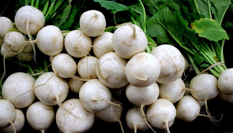 Winter Vegetables